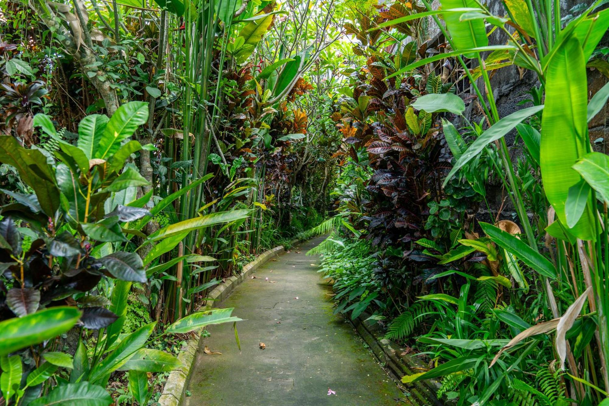 Kausala Bisma Ubud Экстерьер фото